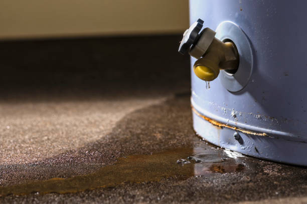 Best Fire Damage Restoration  in Glen Raven, NC