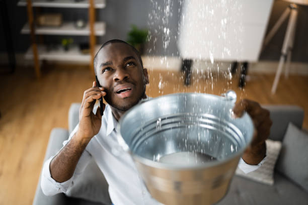 Best Mold removal after water damage  in Glen Raven, NC