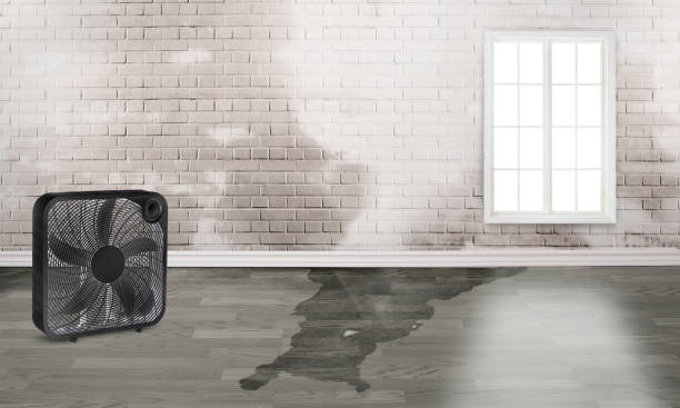 Best Carpet water damage restoration  in Glen Raven, NC