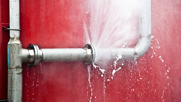 Best Ceiling water damage repair  in Glen Raven, NC